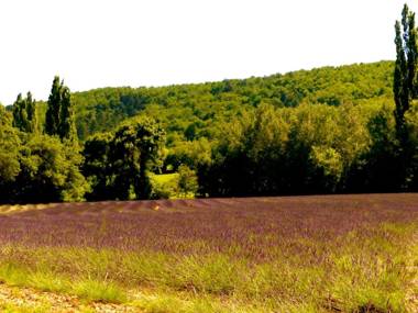 La fontaine de rocoule
