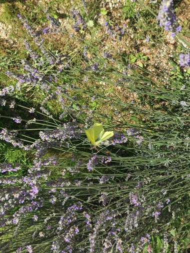 Chambre & Table d'hotes le clos de Rapevache
