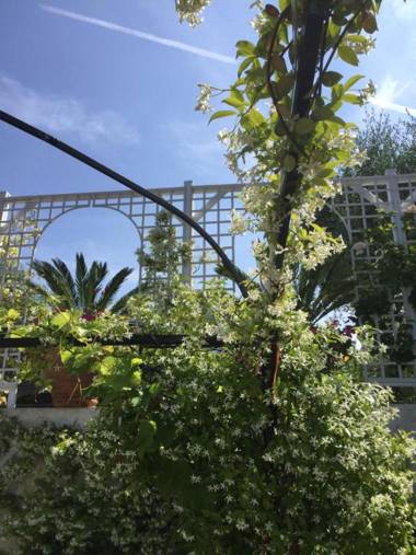 Mas de Provence en Riviera