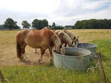 Villandry - Domaine de l'Augeonnière