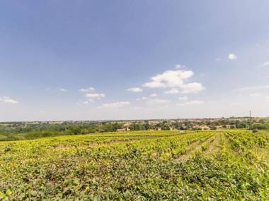 Gîte Monnières 4 pièces 5 personnes - FR-1-306-1164