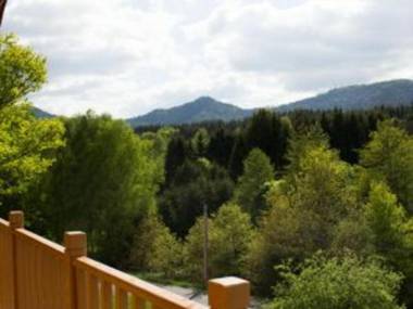 Chalet Taintrux 4 pièces 6 personnes - FR-1-589-222