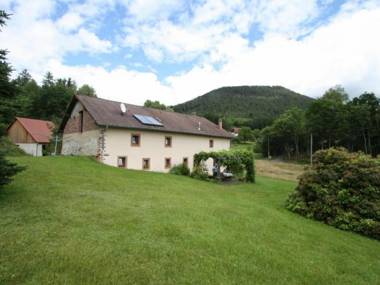 Gîte Taintrux 5 pièces 10 personnes - FR-1-589-232