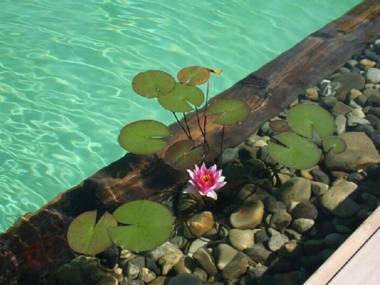 Chambres d'hôtes Cœur de Sundgau