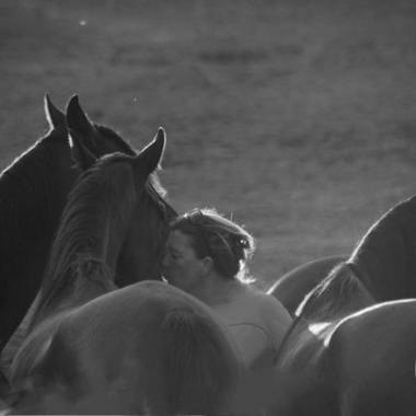 Chambre d Hotes de Cozance