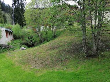 Appartement Morillon 1 pièce 4 personnes - FR-1-412-47