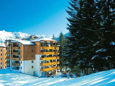 Rustic studio in wooded area at 50 m. from the ski lift