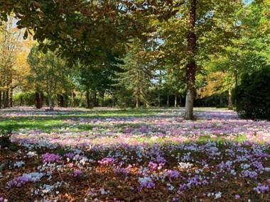 Domaine des Tilleuls