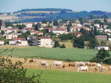Gîte Aveizieux 3 pièces 5 personnes - FR-1-496-175