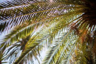 ROC FLEURI - Cap d'Ail