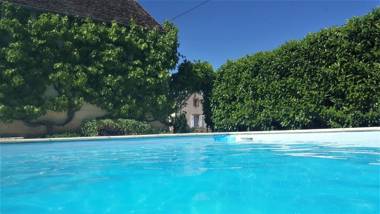 Tourterelle à proximité de Auxerre et Chablis