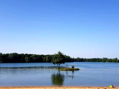 Les Voiles de Laives