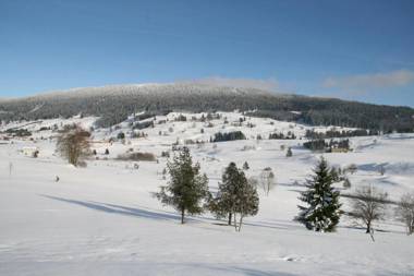 Au Coeur du Lapidaire