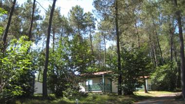 DOMAINE des GRANDS PINS