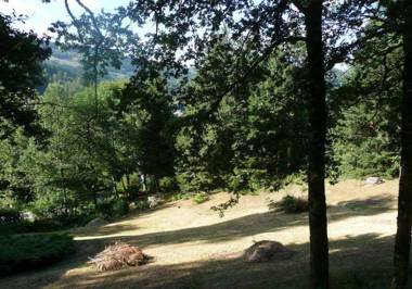 Sud Vosges chalet de vacances Région Gérardmer