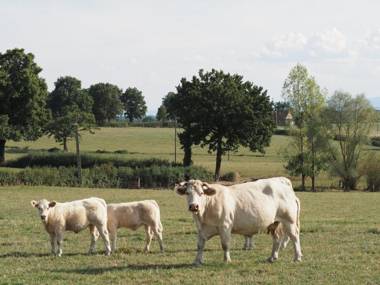 Gîte Monétay-sur-Loire 4 pièces 7 personnes - FR-1-489-107