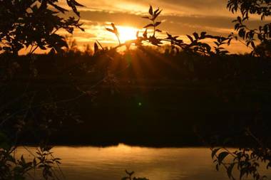 Domaine de la Guinchère