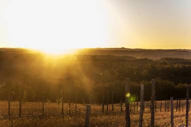 Domaine de Saint-Géry