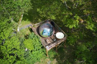 les bulles perchées de lartigue