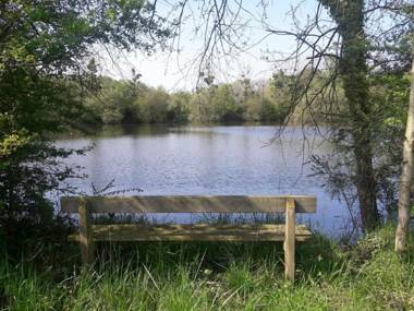 Gîte Loiron-Ruillé 3 pièces 5 personnes - FR-1-600-63