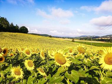 Lovely Holiday Home with Private Pool in Tournon-d'Agenais