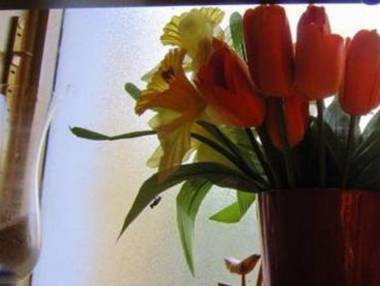 Cozy Cottage in Vaires-sur-Marne with Garden