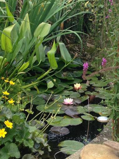 Maison d'hôtes LES RAINETTES