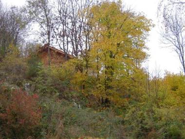 Gîte Saint-Martin-la-Sauveté 2 pièces 3 personnes - FR-1-496-187