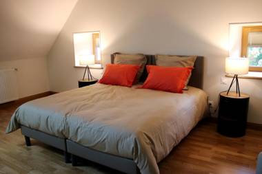 Safranière de la Venelle du Moulin