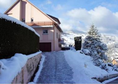 Appartement de 2 chambres avec piscine partagee jardin amenage et wifi a Oderen