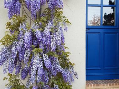 Gîte Sury-en-Vaux 3 pièces 4 personnes - FR-1-586-3