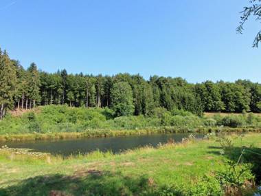 Gîte Bellefontaine 6 pièces 12 personnes - FR-1-589-40