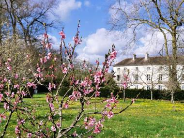 CHATEAU DE BRINVILLE