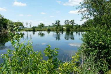 Etat Nature