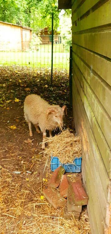 La Fermette des Ramolleux