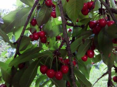 Villa Communauté de communes Brenne - Val de Creuse-Pouligny-Saint-Pierre 3 pièces 5 personnes - FR-1-591-83