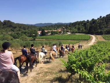 Domaine Calmel & Joseph