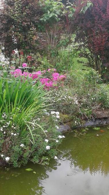 Hôtel Restaurant Du PONT D'ABENSE