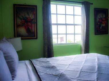 Silver View Apartments