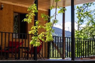 Nino Ratiani's Guesthouse