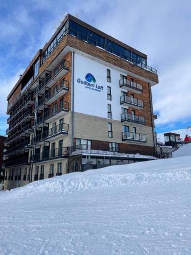 Hotel Gudauri loft Nana's apartment #205 mgzavrebi