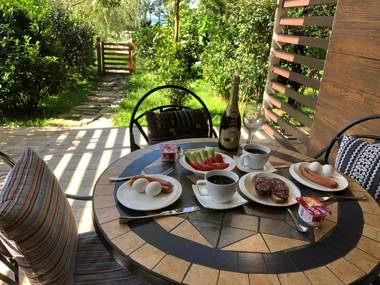 Luxury Oasis Apartment