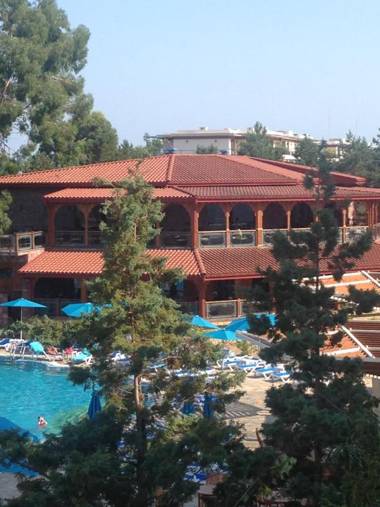 Dreamland oasis in Chakvi