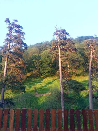 Villa Didveli Bakuriani