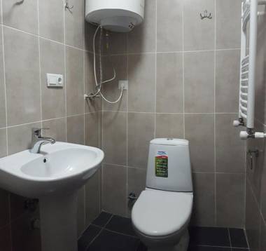 Bakuriani City Panorama Flat