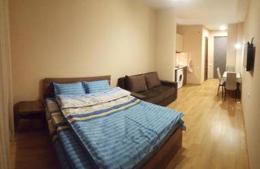 Bakuriani City Panorama Flat