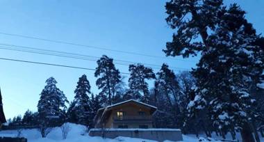 Villa A Barleon Bakuriani