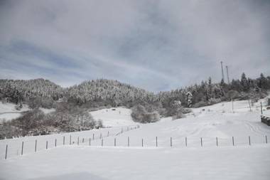 Double House Bakuriani