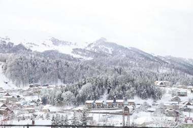 Double House Bakuriani