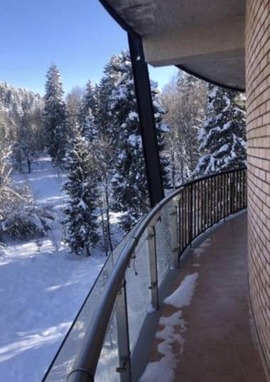 Bakuriani House in Forest